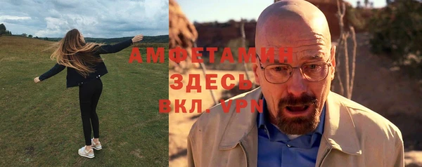 прущие грибы Дмитров