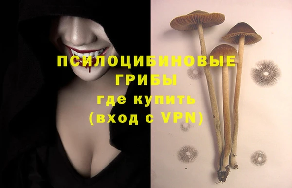прущая мука Янаул