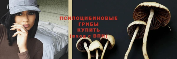 первитин Елабуга