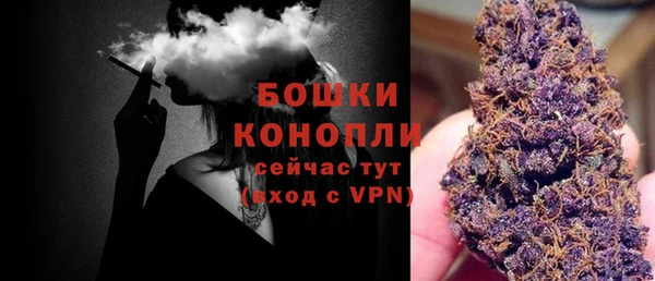 соль ск Заводоуковск