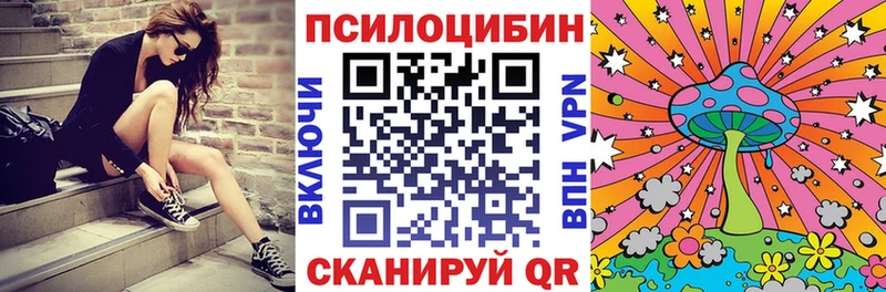 Псилоцибиновые грибы мицелий  купить закладку  Верхоянск 